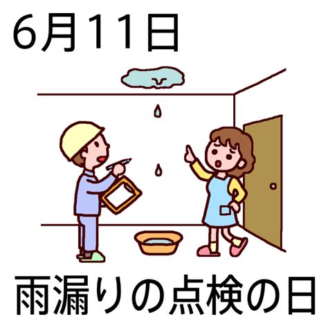 6 月 11 日